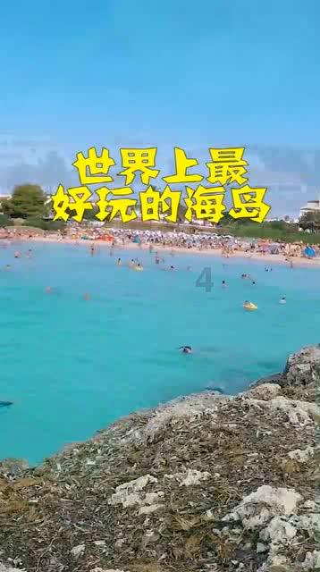 救援白色小猫